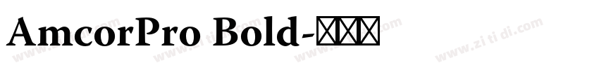 AmcorPro Bold字体转换